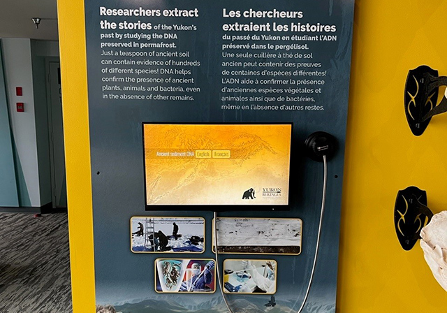 touch screen digital interactive interpretive exhibit yukon beringia museum video interface dinosaurs app digital interactive experience interpretive - AV media - AV hardware interactive apps