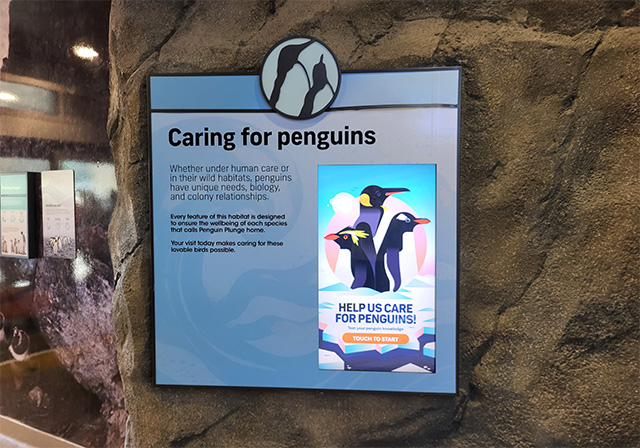 touch screen digital interactive zoo exhibit calgary zoo penguin habitat digital interactive experience - media - educational learning multimedia interactive apps - zoo museums interpretive